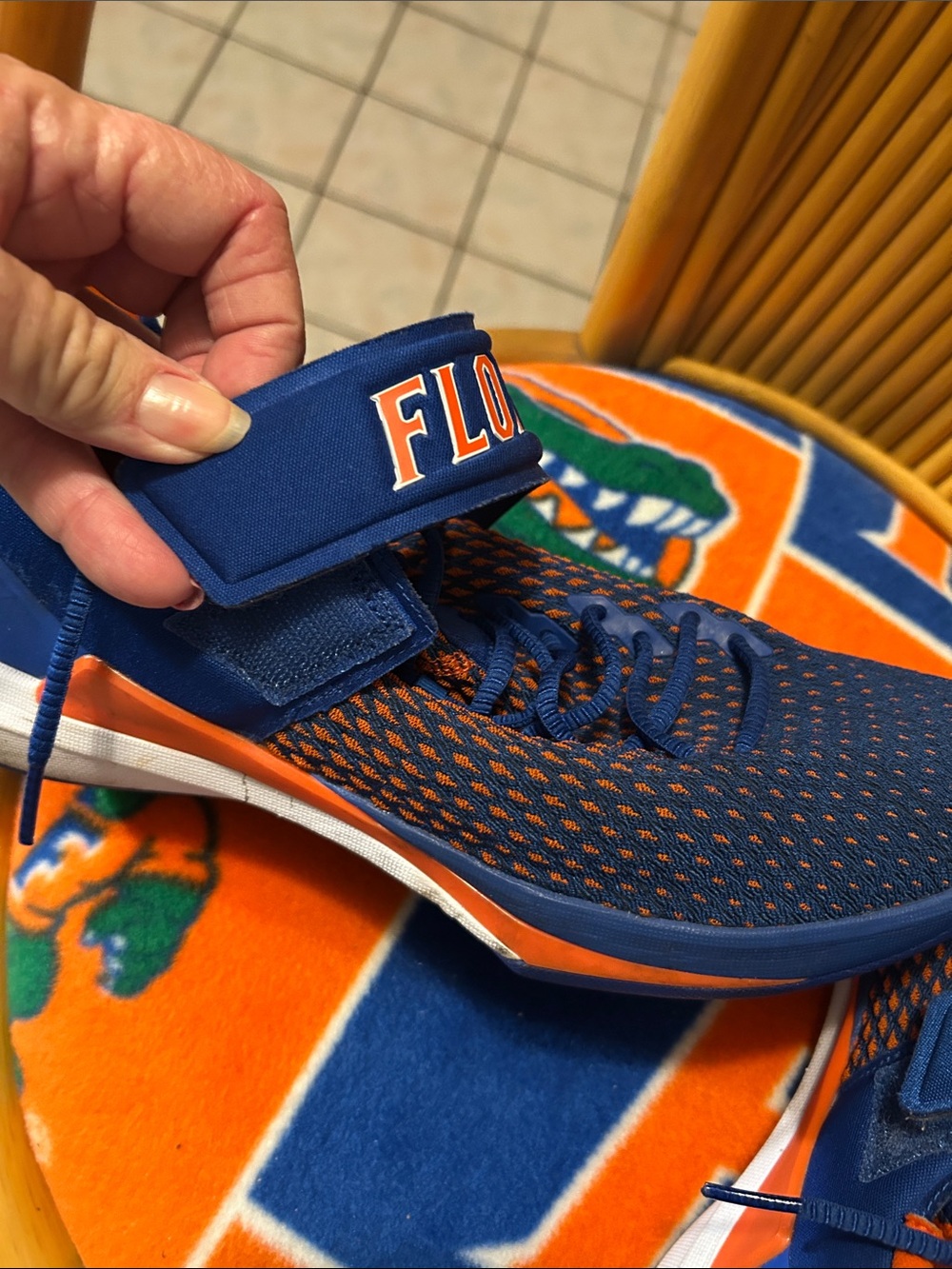 Florida gators - Picture 9 of 9